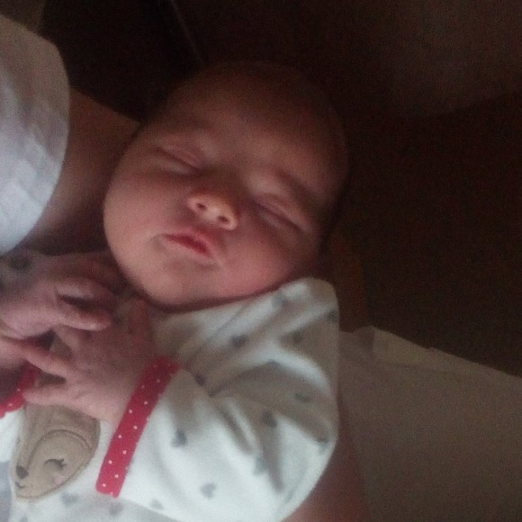 Meet your Posher, Barb - Picture 1 of 1